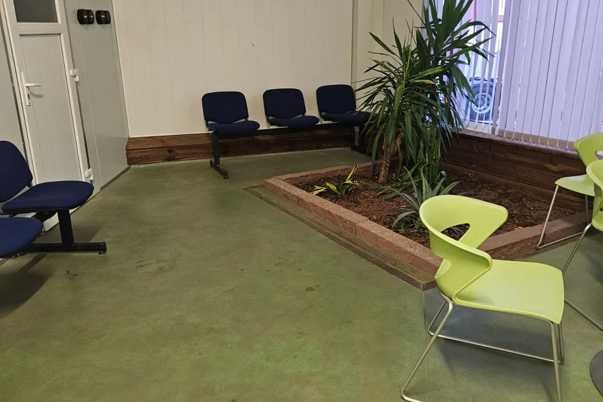 Le hall d’accueil : une jardinière plantée, des chaises et une grande fenêtre.